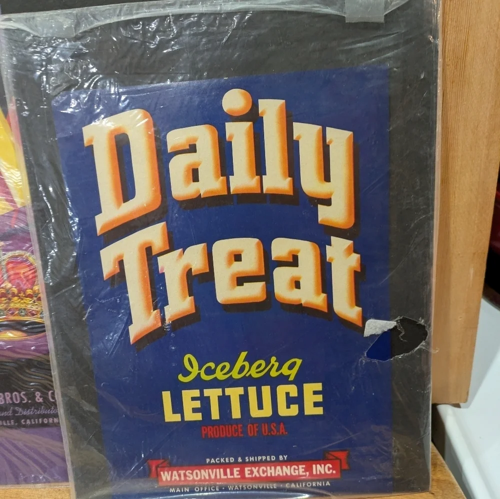 Daily Treat Iceberg Lettuce Vintage Poster 3 Posters 12x9